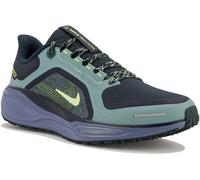Nike Chaussures de running Pegasus 41 Gore-TEX Homme
