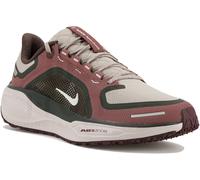 Nike Pegasus 41 Gore-Tex Violet 38
