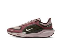 Nike Pegasus 41 GTX Femme 40