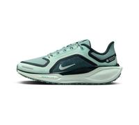 Nike Pegasus 41 GTX Femme 40