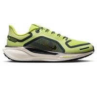 Nike Pegasus 41 GTX Femme 39