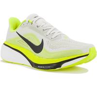 Nike Pegasus 42 Gris/argent 40.5