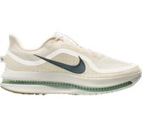 Nike Pegasus Premium Homme 46