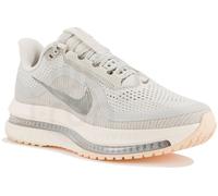 Nike Pegasus Premium Gris/argent 39