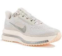Nike Pegasus Premium Gris/argent 41