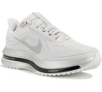 Nike Pegasus Premium RR Gris/argent 42.5