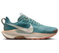 Nike Pegasus Trail 5 - femme - bleu