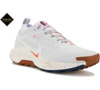 Nike Pegasus Trail 5 Gore-Tex Chaussures de sport femme Pegasus Trail 5 Gore-Tex 42.5 Gris/argent