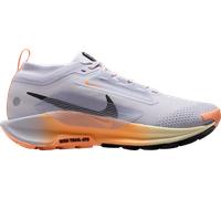 Nike Pegasus Trail 5 GORE-TEX Chaussures de trail 40,5 Argent