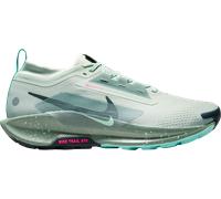 Nike Pegasus Trail 5 GORE-TEX Chaussures de trail 42 Vert