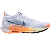 Nike Pegasus Trail 5 GORE-TEX Chaussures de trail 44 Argent