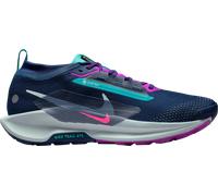 Nike Pegasus Trail 5 GORE-TEX Chaussures de trail 45,5 Bleu