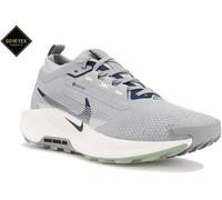 Nike Pegasus Trail 5 Gore-Tex Chaussures homme déstockage Pegasus Trail 5 Gore-Tex 40.5 Gris/argent