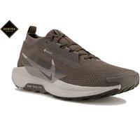 Nike Pegasus Trail 5 Gore-Tex Running Shoes Mens Pierre de fer/Gris 9 (44) Male