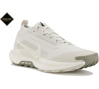 Nike Pegasus Trail 5 Gore-Tex Gris/argent 40