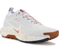 Nike Pegasus Trail 5 Gore-Tex Gris/argent 40.5