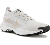 Nike Pegasus Trail 5 Gore-Tex Chaussures homme Pegasus Trail 5 Gore-Tex 41 Gris/argent