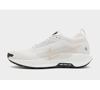 Nike Pegasus Trail 5 GORE-TEX Homme - Gris 42