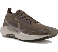 Nike Pegasus Trail 5 Gore-Tex Running Shoes Mens Pierre de fer/Gris 7 (41) Male