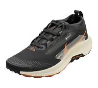 Nike Pegasus Trail 5 Gore-Tex Noir Hommes - Entraîneurs de Mode - 41 EU