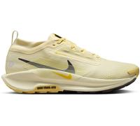 Nike Pegasus Trail 5 Gore-Tex Running Shoes Mens Albâtre/Cendre 11 (46) Male