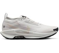 Nike Pegasus Trail 5 Gore-Tex Running Shoes Mens Gris immense 9 (44) Male