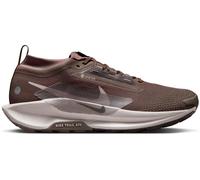 Nike Pegasus Trail 5 Gore-Tex Running Shoes Mens Pierre de fer/Gris 10 (45) Male
