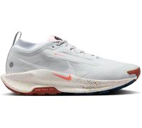 Nike Pegasus Trail 5 Gore-Tex Running Shoes Mens Platinum 9.5 (44.5) Male