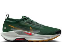 Nike Pegasus Trail 5 GTX - homme - gris