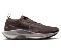 Nike Pegasus Trail 5 Gore-Tex Running Shoes Womens Pierre de fer/Gris 6 (40) Female