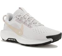 Nike Pegasus Trail 5 Gris/argent 37.5