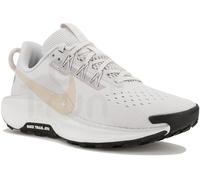Nike Pegasus Trail 5 Gris/argent 40