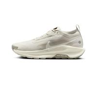 Nike Pegasus Trail 5 GTX Homme 40