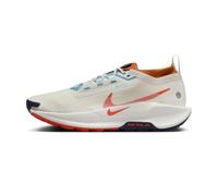 Chaussure de trail imperméable Nike Pegasus Trail 5 GORE-TEX pour homme - Gris 47