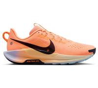 Chaussures de trail Nike Pegasus Trail 5 198486909334 taille 40,5 EU