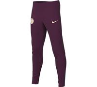 Nike PSG Pants PSG Y NK DF Strk Pant Kpz, Bordeaux/Geode Teal/Guava Ice, FN9968-610, XL