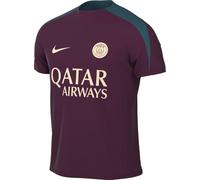 Nike PSG Top PSG M NK DF Strk SS Top K, Bordeaux/Bordeaux/Geode Teal/Guava Ice, FN9821-613, S