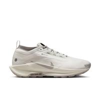Chaussure de trail imperméable Nike Pegasus Trail 5 GORE-TEX SP pour homme Summit White/Light Bone/Cave Stone/College Grey 39