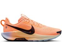 Nike Pegasus Trail 5 Homme 46