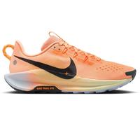 Chaussures de trail Nike Pegasus Trail 5 198486892742 taille 42,5 EU