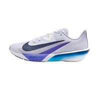 Nike Rival Fly 4 Chaussures de course sur route pour homme (FV6040-002, Ghost/Persian Violet/Baltic Blue/Blue Void), Fantôme/violet persan/bleu baltique/bleu vide, 45.5 EU