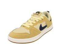 Nike Sb Alleyoop Hommes Trainers Cj0882 Sneakers Chaussures 700 42