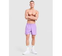 Nike Short de bain Core Homme - Violet XS