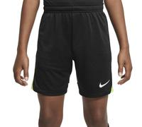 Nike Short Dri-fit Acdprk Big