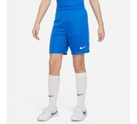 Nike Short Dri-fit Lge Iii
