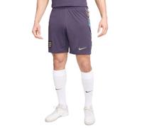 Nike Shorts Ent M NK DF Stad Short Aw, Dark Raisin/Sesame, FJ4292-573, M