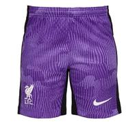 Nike Shorts LFC M NK DF Stad Short 3R, Space Purple/Court Purple/White, DX9828-567, S