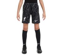 Nike Shorts LFC Y NK DF Short Stad Gk, Anthracite/Black/White, FN9189-061, XL