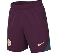 Nike Shorts PSG M NK DF Strk Short Kz, Bordeaux/Geode Teal/Guava Ice, FN9394-610, M