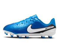 Nike Soccer Shoe Jr Legend 10 Academy FG/MG, Soar/White, DV4348-400, 38.5 EU (6Y)
